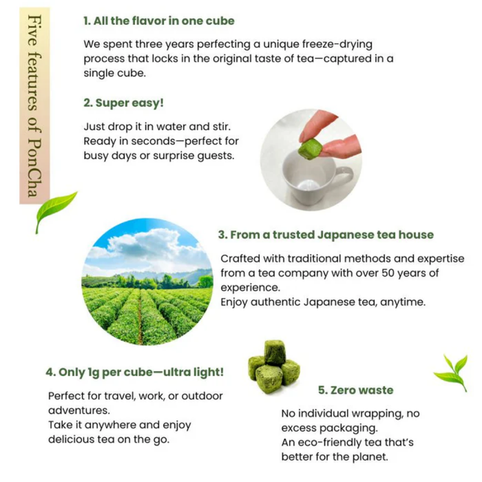 PonCha Green Tea – Grüner Tee Würfel – 10g Tee-Tablet